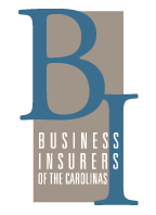 bi Insurance logo