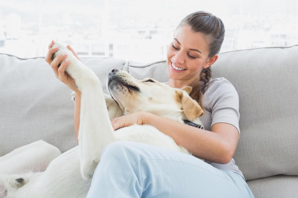 How to be Well-Prepared for a Pet-Sitting Job